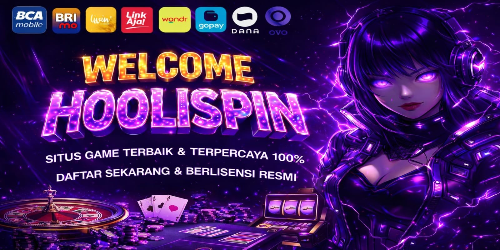 WELCOME TO HOOLISPIN